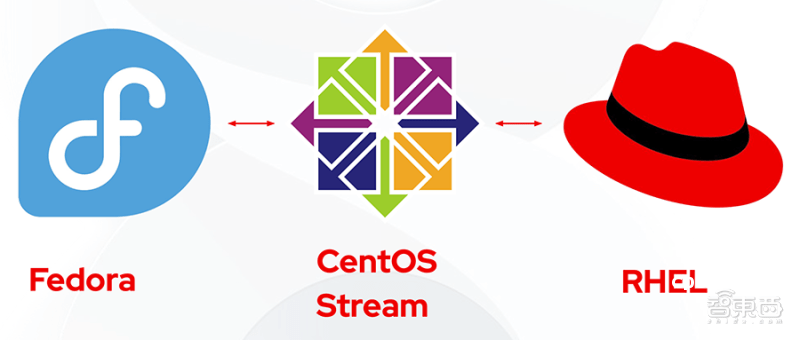云服务器CentOS 8网络命名空间VPC优化指南